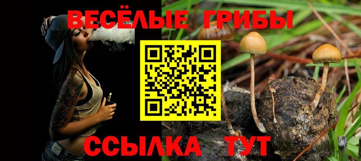 Галлюциногенные грибы Magic Shrooms  Псилоцибиновые грибы Magic Shrooms  Россия  Вход с VPN 